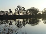 WasserSpiegeleien II